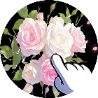 花朵拼拼消消乐