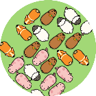 猪和猪