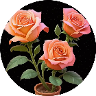 花朵叠叠消