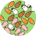 赶猪游戏