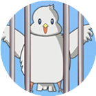 解救和平鸽