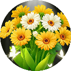 花朵游戏消除