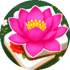 开心消花