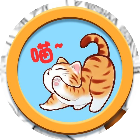 喵在哪儿