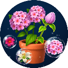 鲜花消除花朵