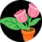 插花消除游戏
