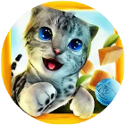 猫咪模拟游戏