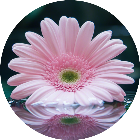 消花解压