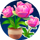 花朵拼拼