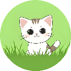 小猫救救