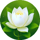 消消花朵消消
