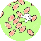 小猪猪消消乐