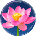 消消花儿