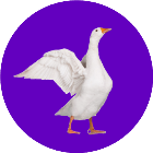 消除大鹅