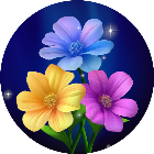花朵不停消