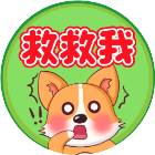 救救卡皮巴拉