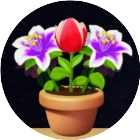 花朵消消消乐