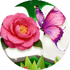 消除花朵经典
