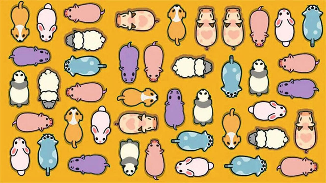 挪挪小猪截图