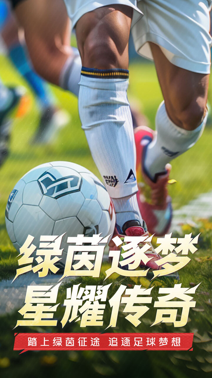 全职荣耀截图