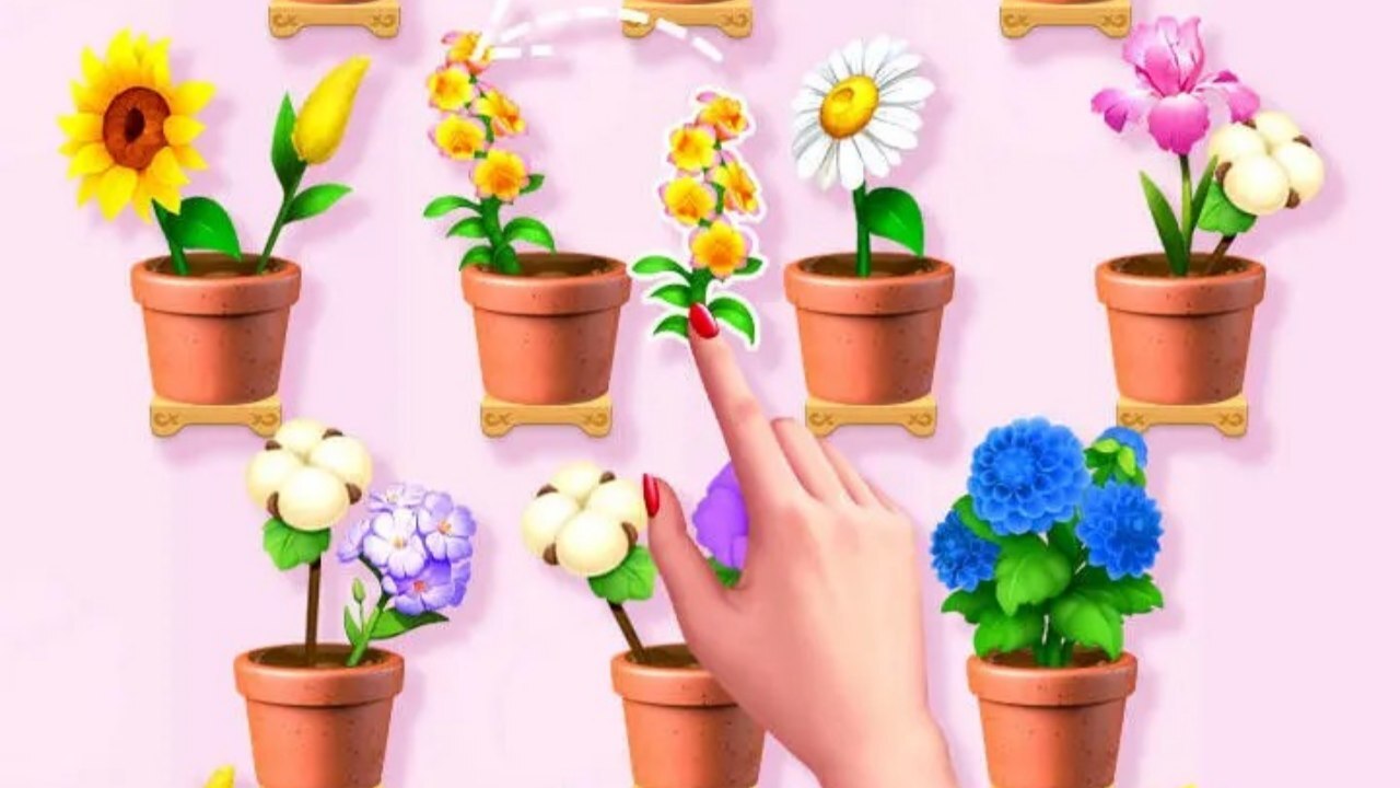 插花我最强截图