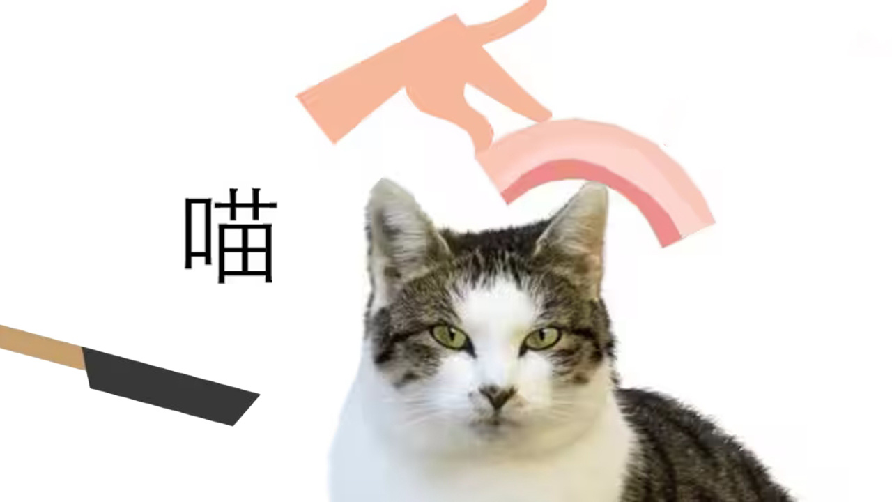 煎了个培根截图