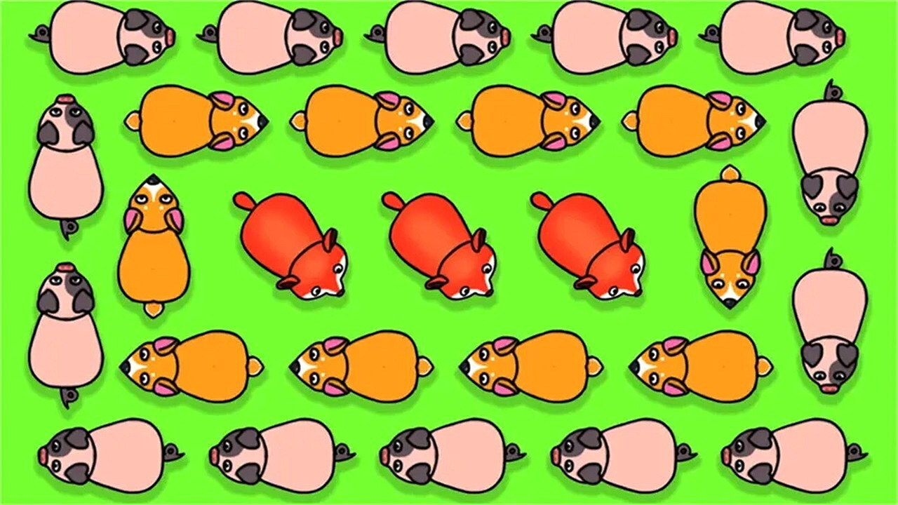 救救小卡皮截图