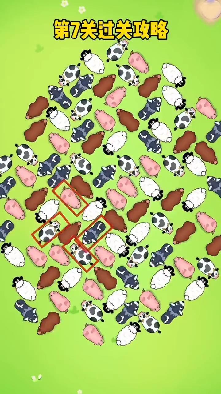 小猪猪游戏截图