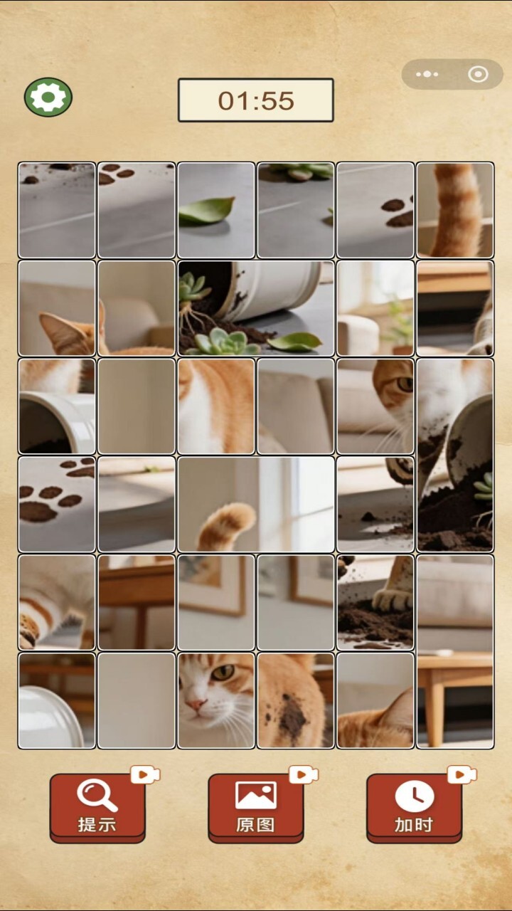 拼了个猫咪截图