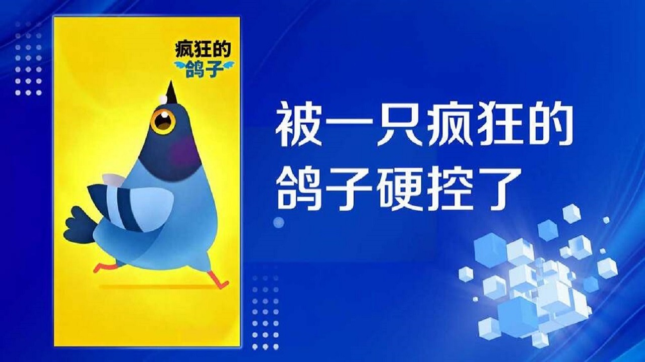 疯狂的鸽子手机版截图