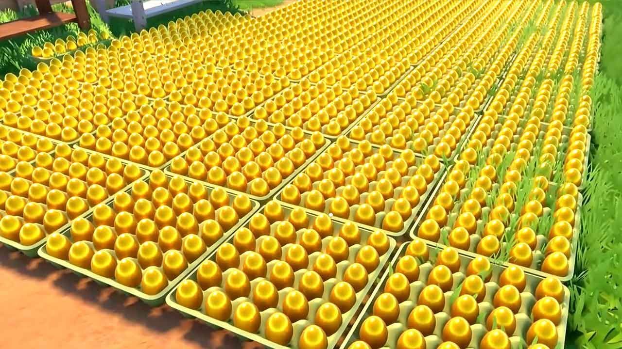 养鸡模拟截图