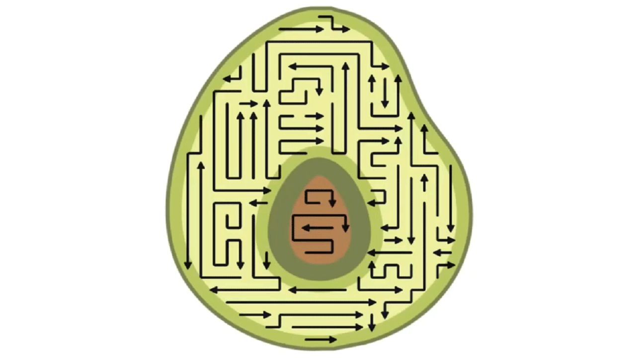 箭了再箭截图