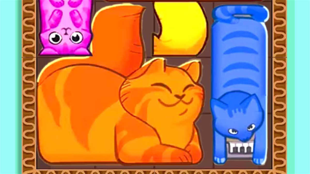 猫猫挤一挤截图