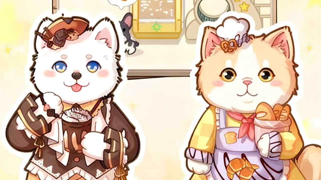 猫猫狗狗一起玩截图