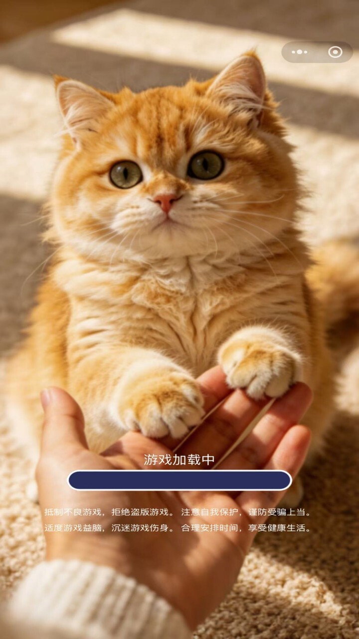 拼了个猫咪截图