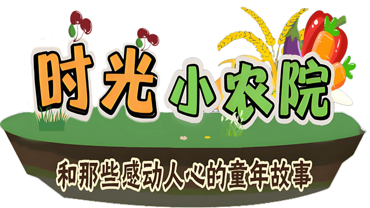 时光小农院截图
