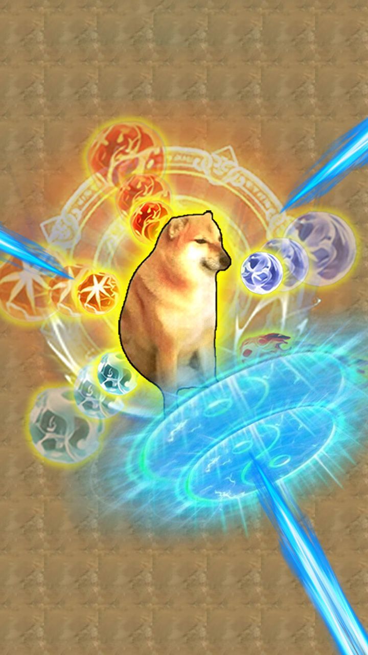猫魂吃丹修仙截图