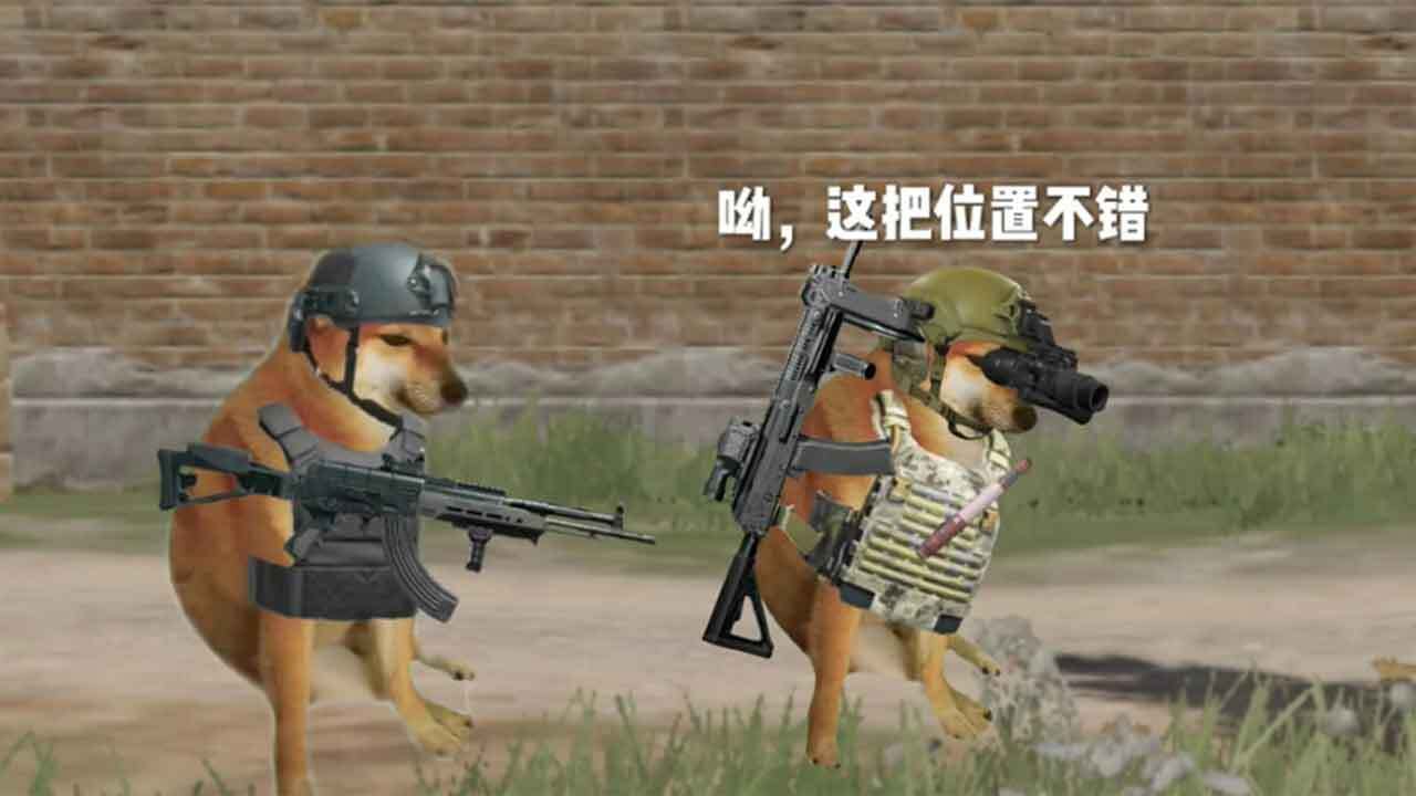 双人换装截图