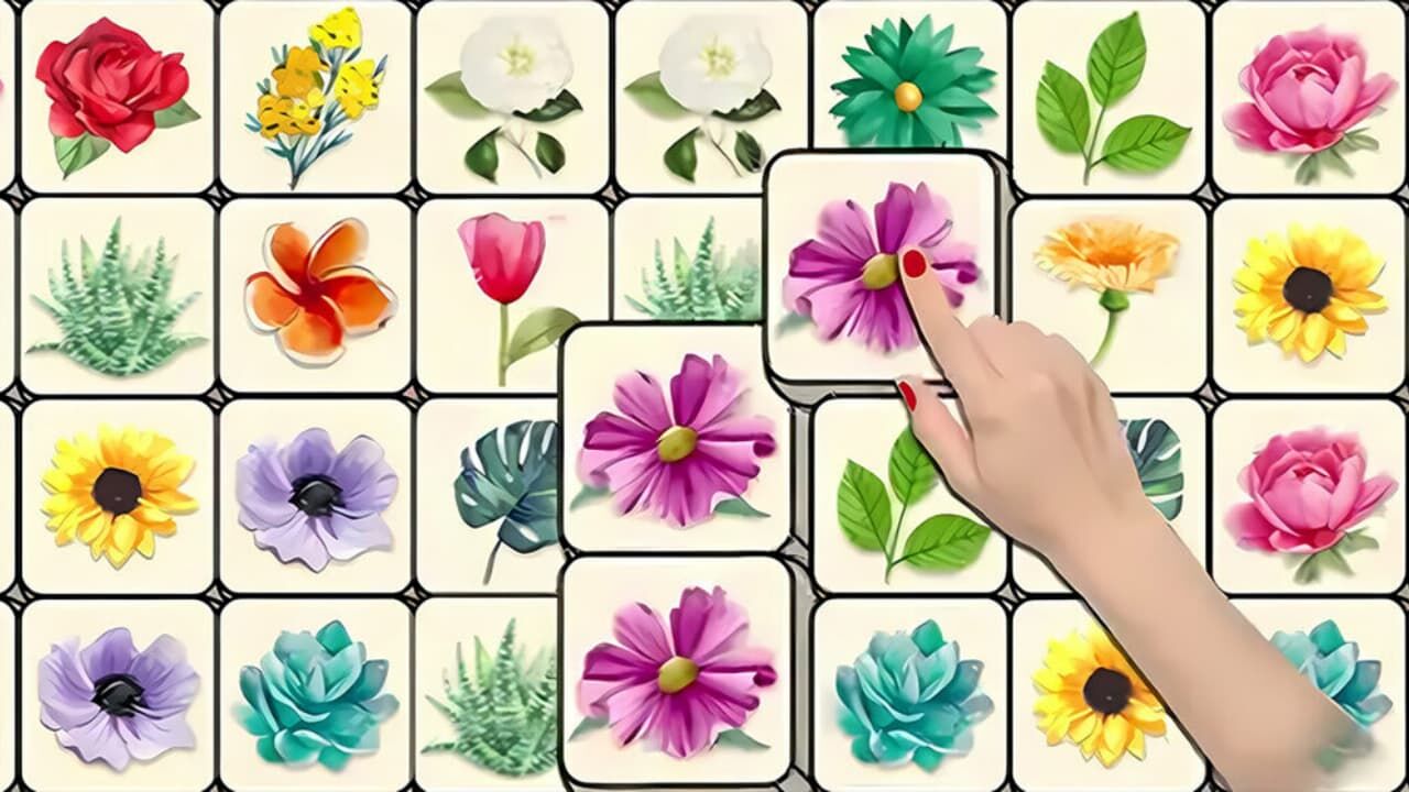 梦幻花三张截图