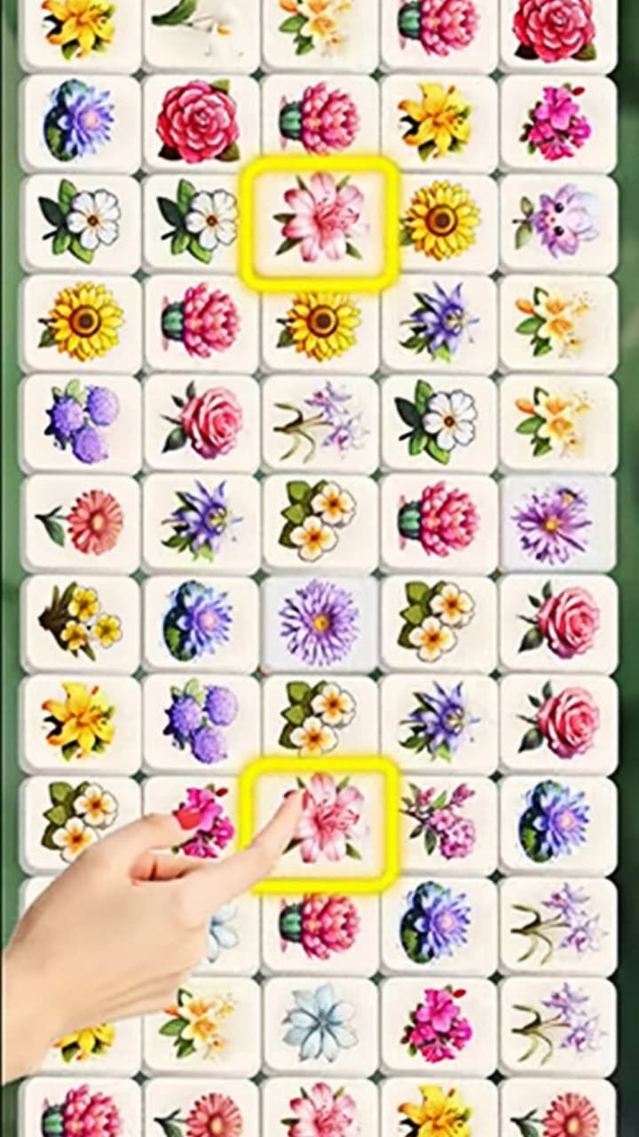 梦幻花三张截图