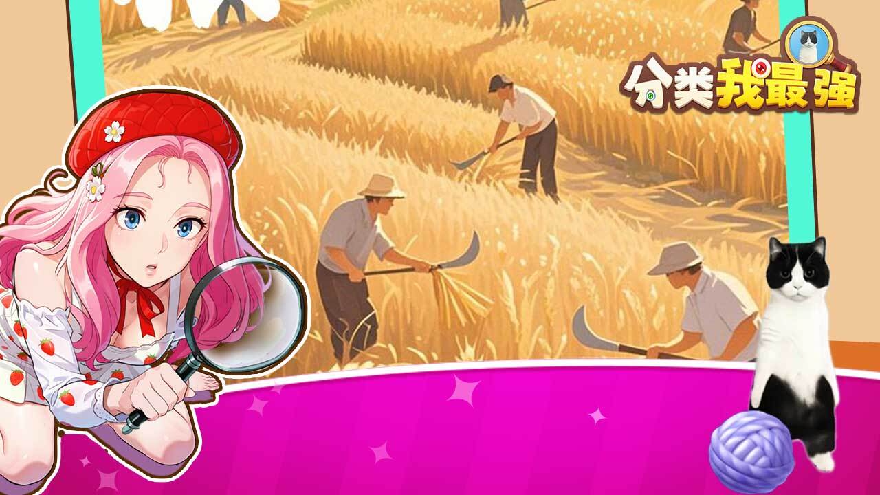 分类我最强截图