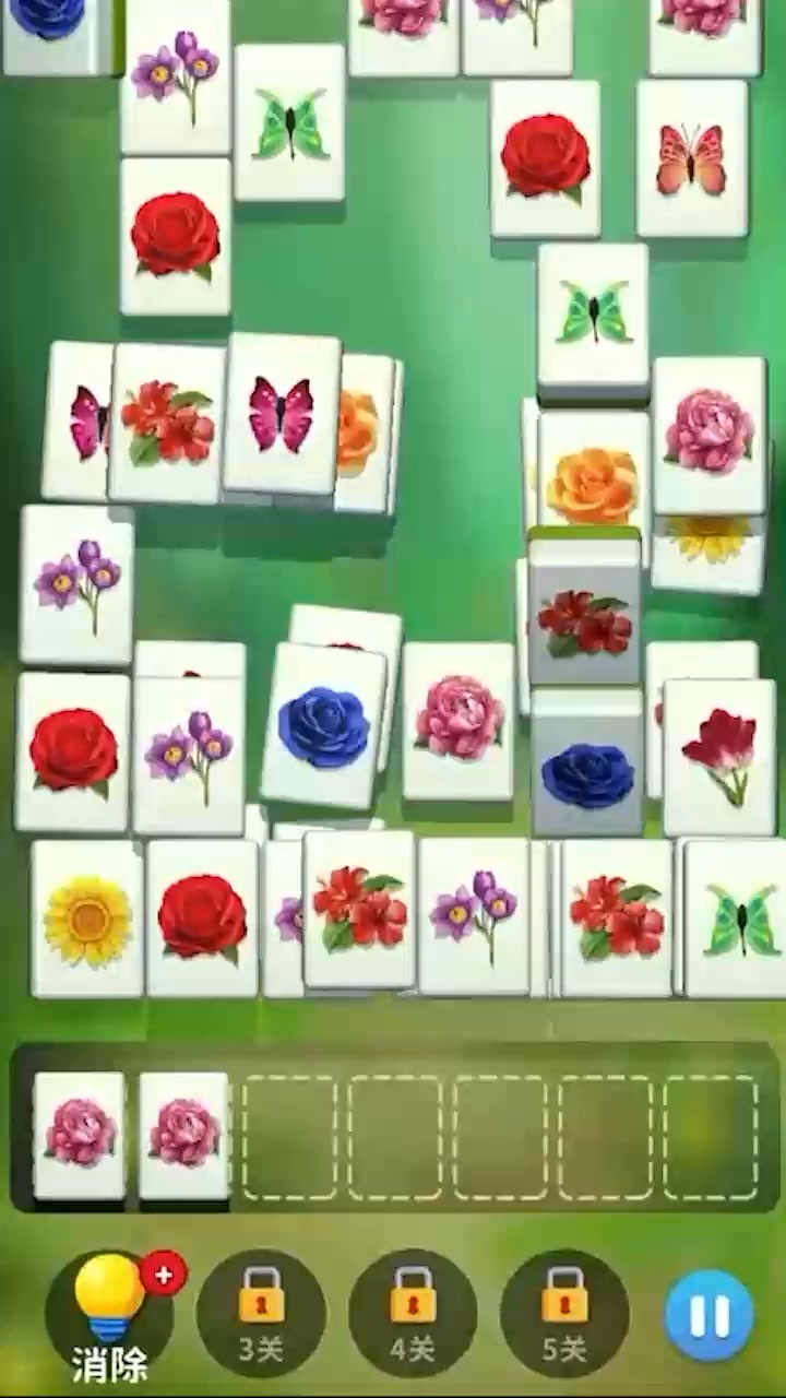 植战僵杂交正版截图