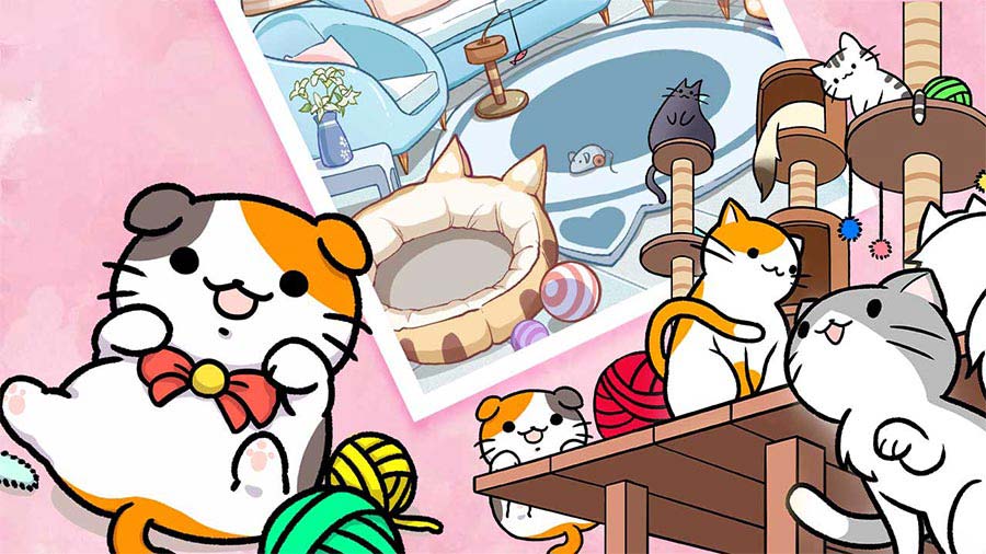 奇妙猫之家截图