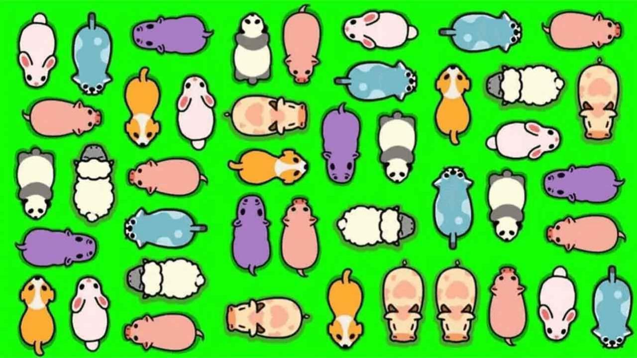解救小猪消消消乐截图