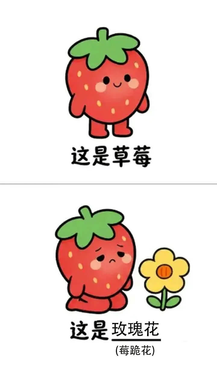 谐音梗大冒险截图