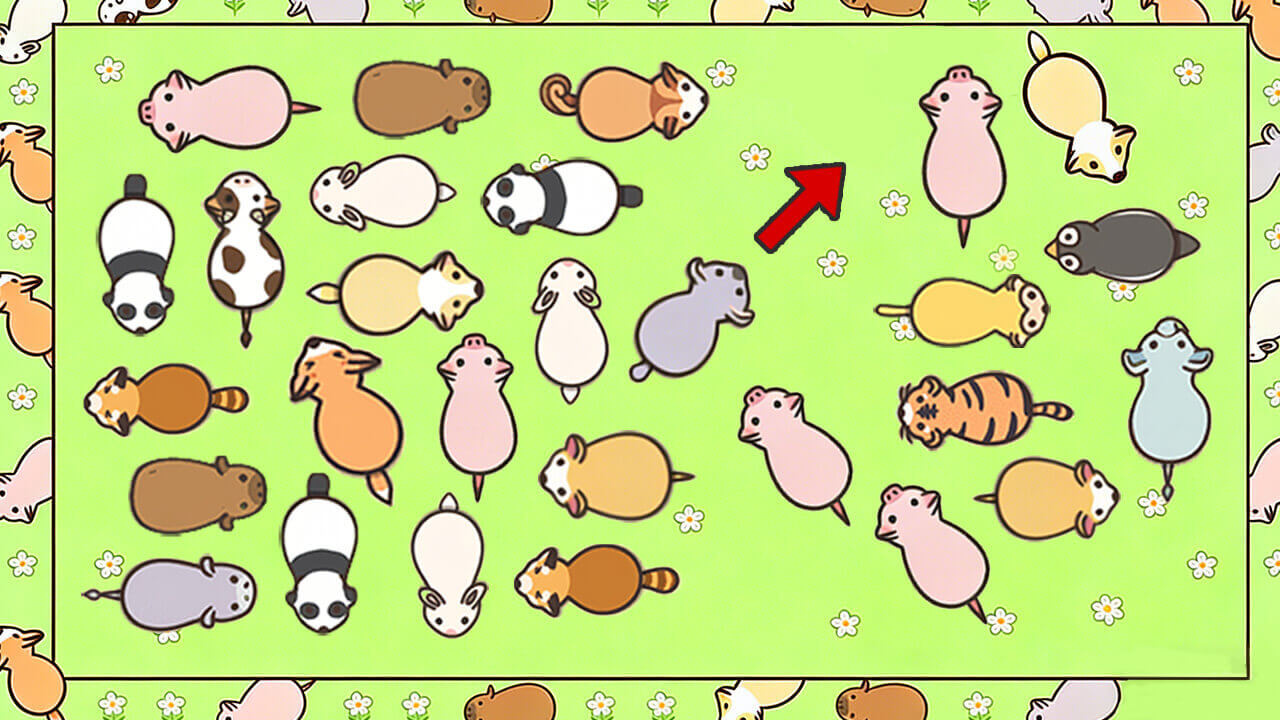 猪头挪一挪截图