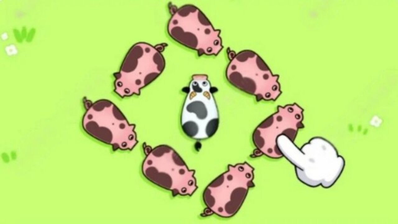救救这群猪仔截图