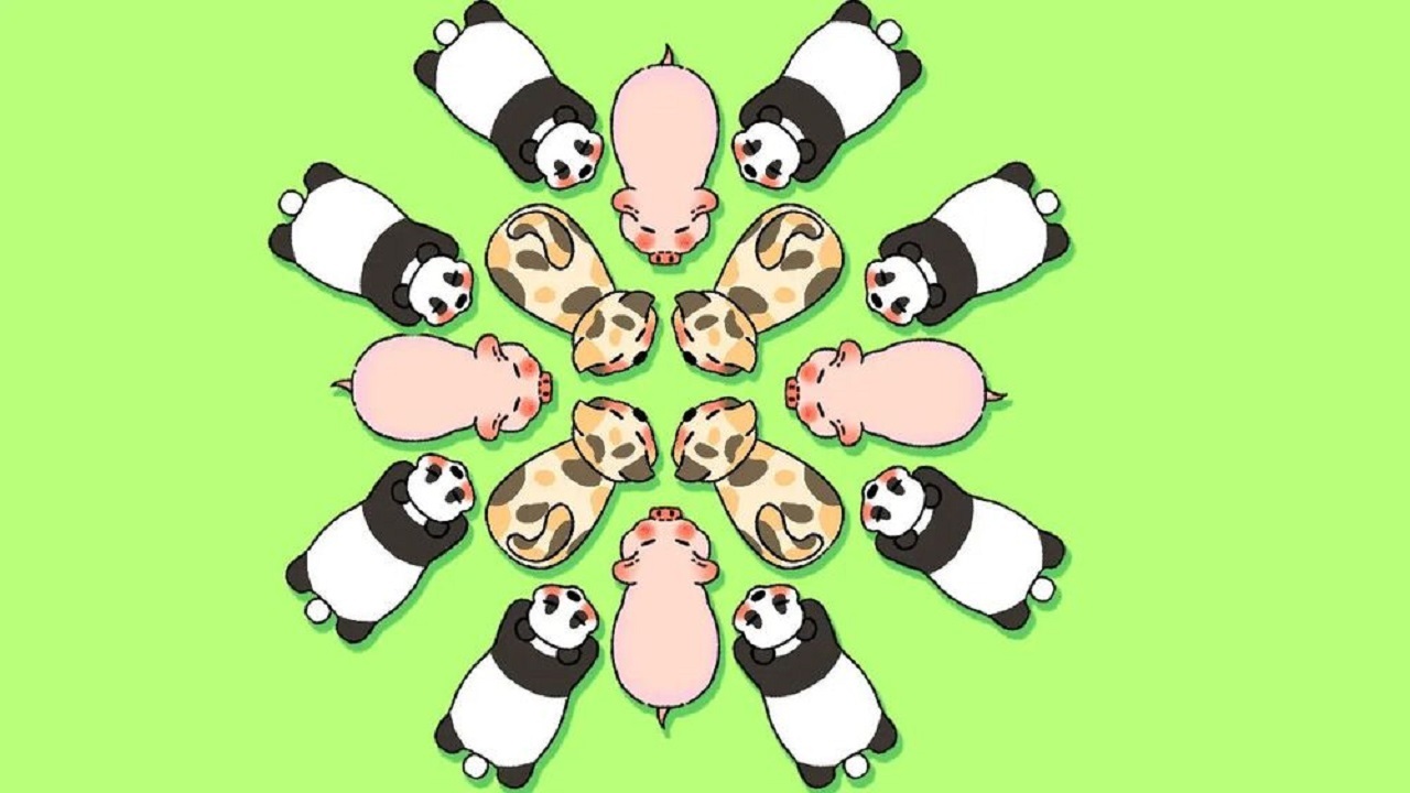 全民养猪场小游戏截图