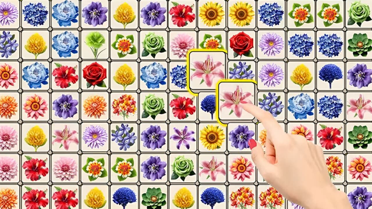 梦幻花三张截图