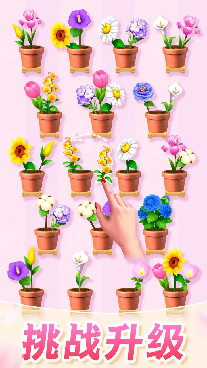 插花我最强截图